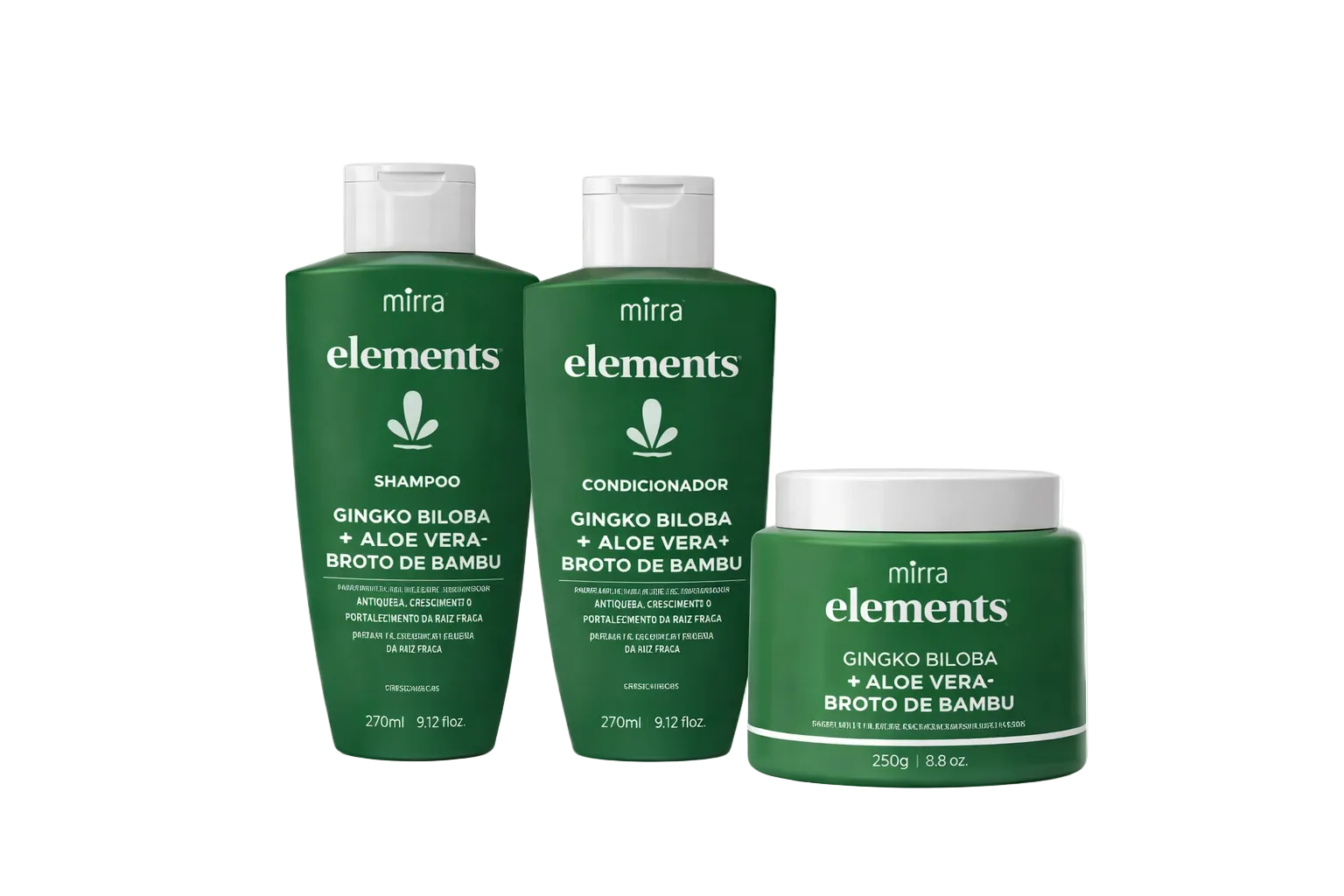 Ginkgo Biloba Shampoo + Cond + Mask